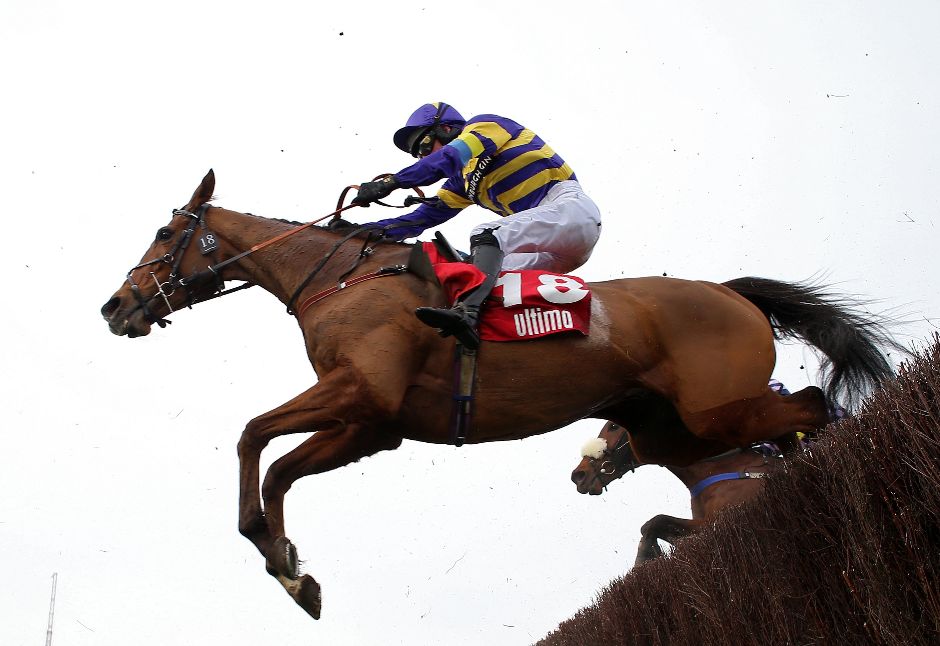 Russell outlines National aim for Corach Rambler