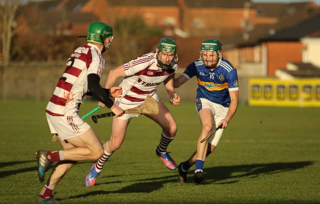 Slaughtneil's Gerald Bradley in action against Portaferry. Pic: Mark Doherty