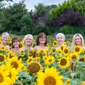 Calendar Girls the Musical gets underway at An Grianán Theatre  next week