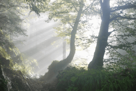 Sadness in the communities of Drangan and Cloneen with recent passing of two popular men