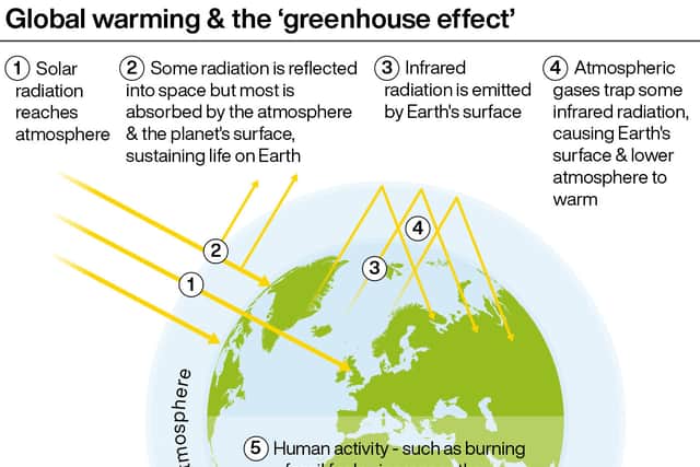“If governments respond by turbo-charging clean energy investments and planting, not cutting, trees, global emissions could rapidly start to fall.”