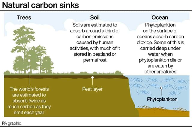 Just three countries, Indonesia, Brazil and the Democratic Republic of Congo contribute more than half (58%) of emissions from land use change.