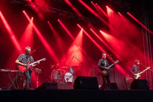 Be an early bird to the Forest Fest fun in Laois next summer