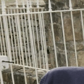 LATEST: Search continuing for elderly man missing in north Tipperary
