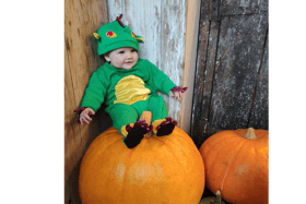 Explore the Great Shankill Pumpkin Hunt at Shankill Castle
