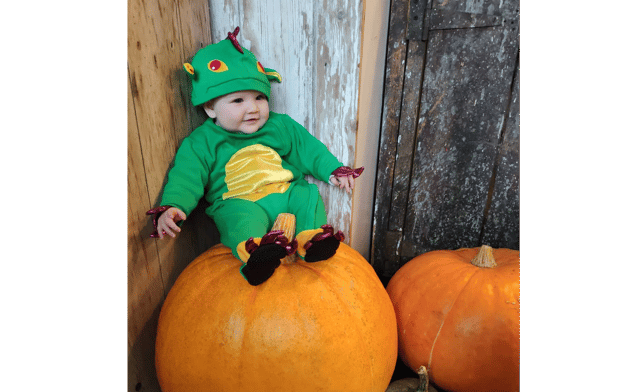 Explore the Great Shankill Pumpkin Hunt at Shankill Castle