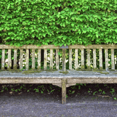 Keeping a tidy hedge does wonders for the appearance of a garden
