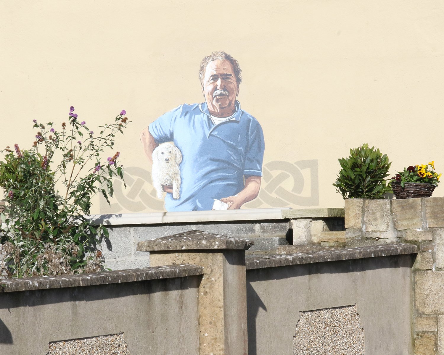 Mural row: Gable-wall painting generates ‘hysteria’ in Limerick village