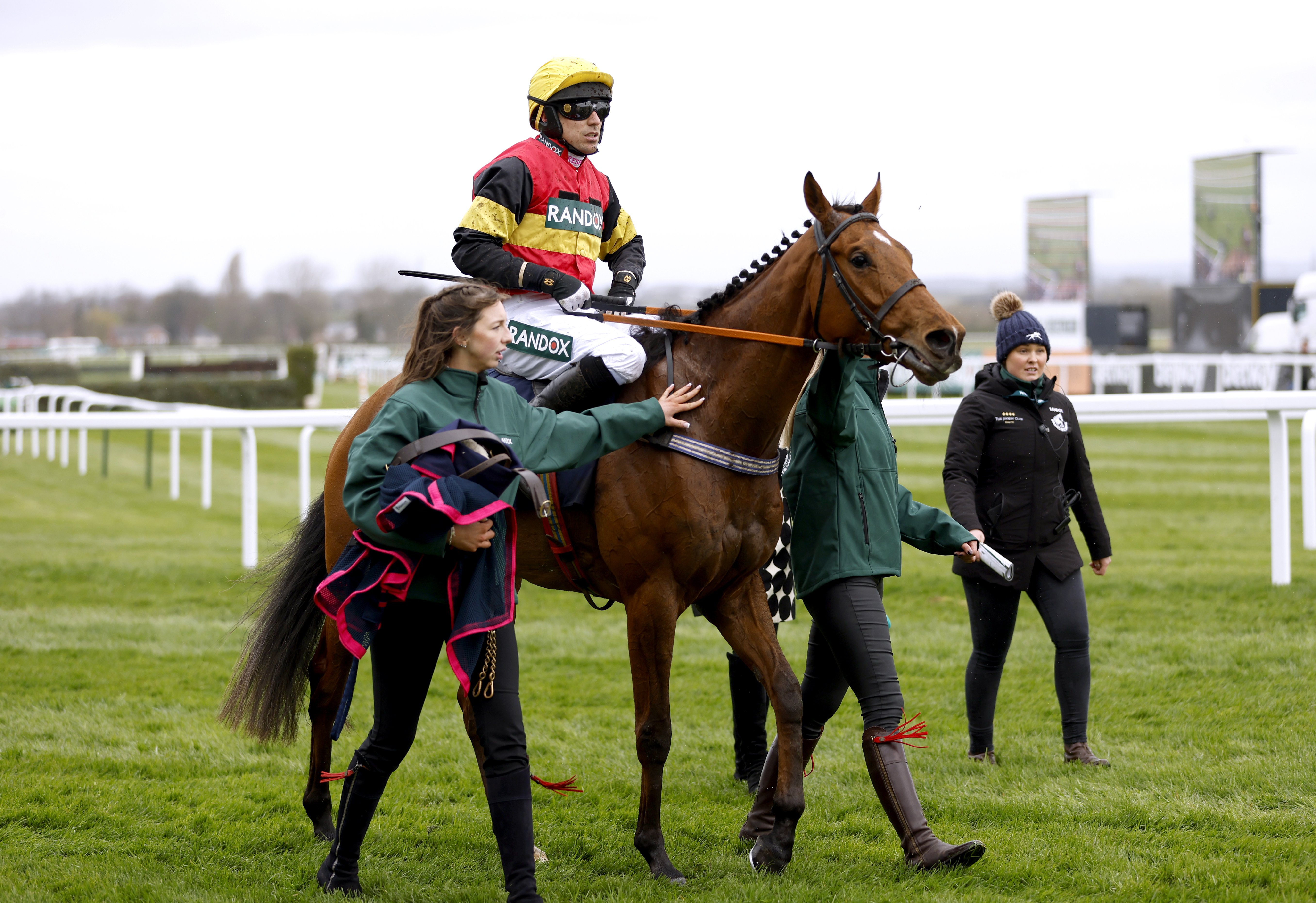 Knight Salute on course for Cheltenham return on Saturday week