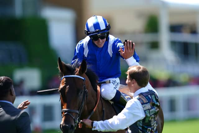 Final countdown for Baaeed, with brilliant colt all set to sign off in ...