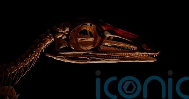 Fossilised cat-sized reptile found in Scotland was ‘early relative of ...