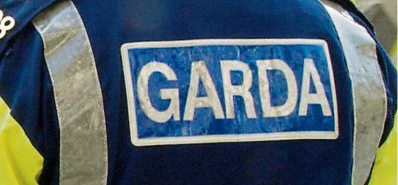 Nenagh gardaí arrest suspect over dangerous driving incident in housing ...