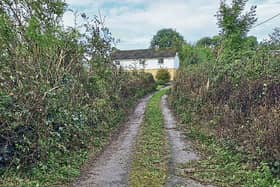 The hedges on the way into Robert Hickey’s farm were mysteriously cut