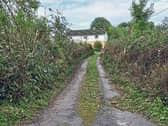 The hedges on the way into Robert Hickey’s farm were mysteriously cut