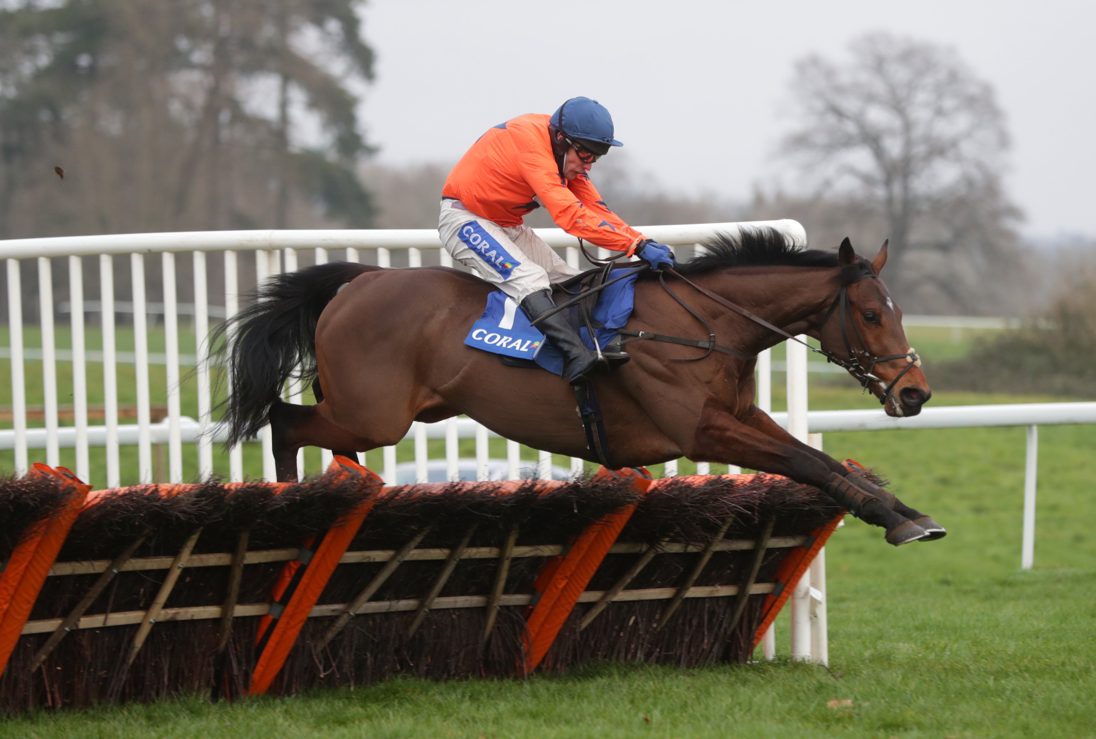David Pipe star Adagio suffers fatal heart attack