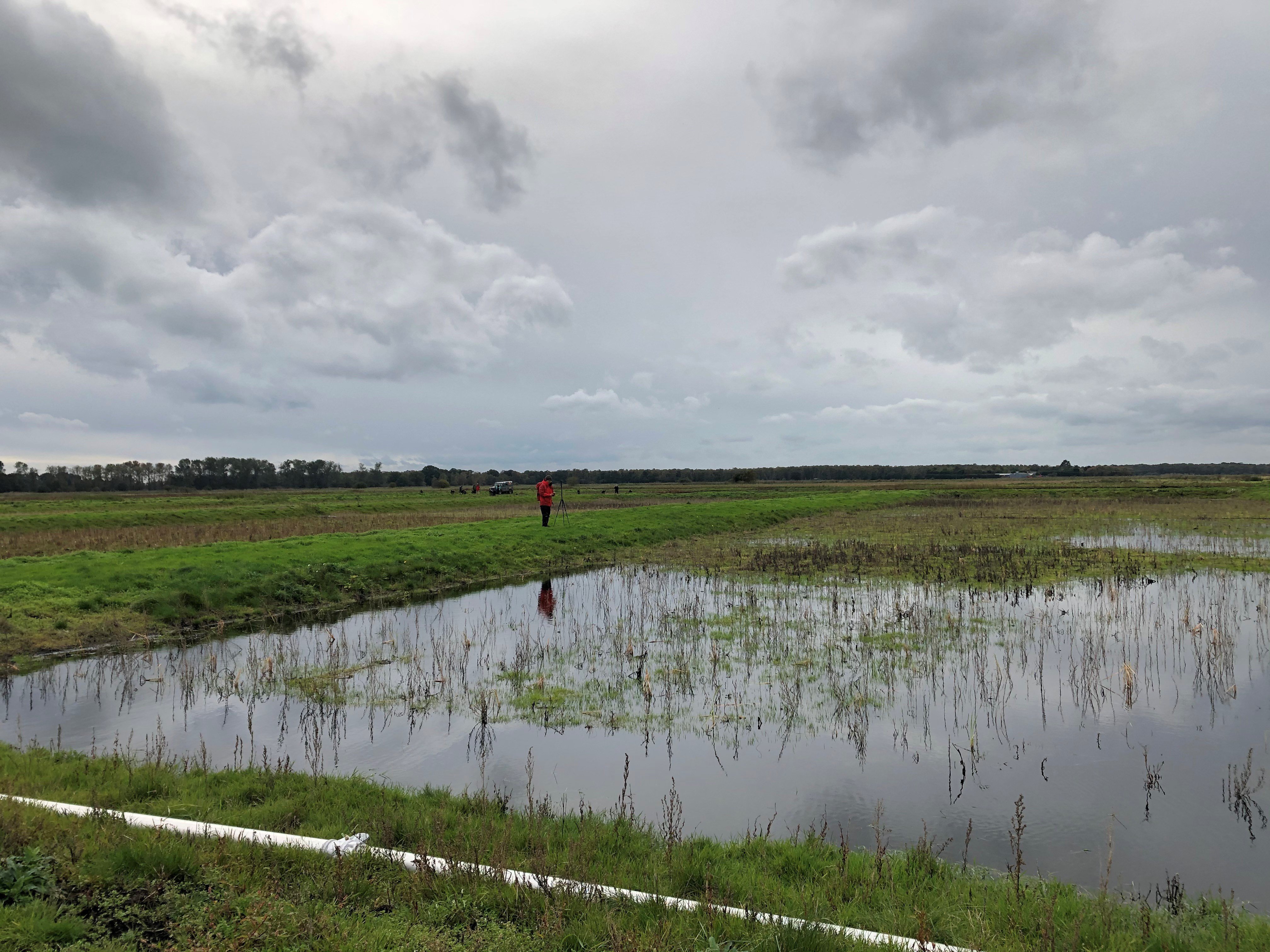 Government launched ‘attack on nature’ with mini-budget ...