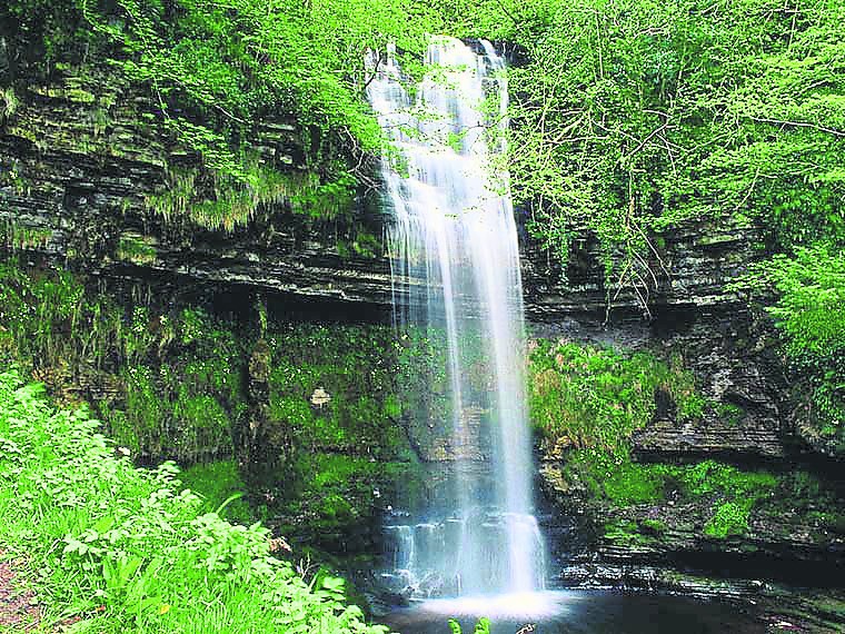 Glencar Waterfall Nature Biodiversity Workshop