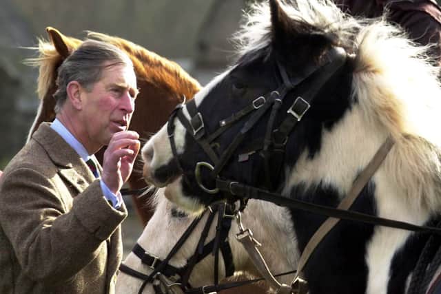 Charles suggests his campaigning on issues will end now he is King