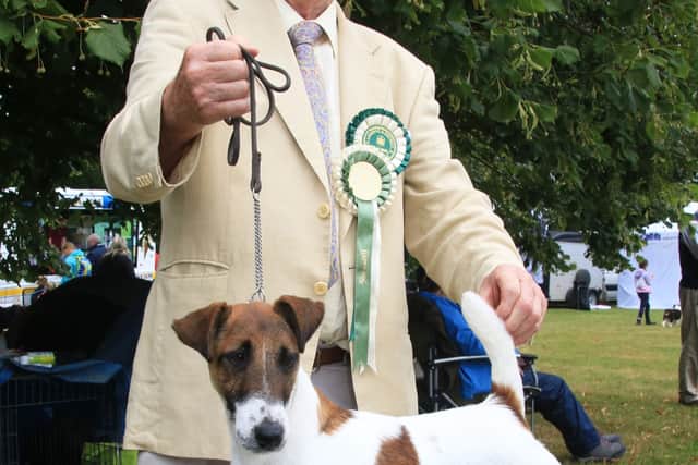 He is President-Elect of the Smooth Fox Terrier Association in England, the first Irishman to achieve such an accolade.