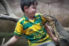 Zack Hennessy, 10, gets face to face with one of the world's largest lizards - Bam Bam the Asian Water Monitor.