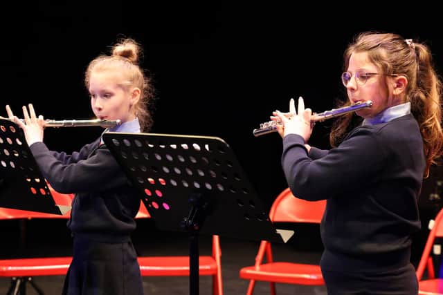 Performance opportunities are available by joining Music Generation Laois’ Harp Ensembles, Trad Orchestra, Junior and Intermediate Trad Groups and rock and pop bands. MORE BELOW PICTURE.