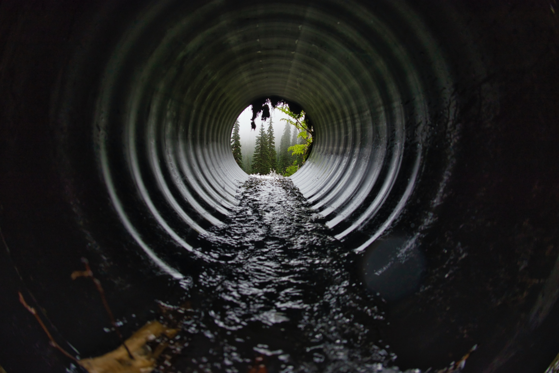 Public warned of risk of Weil’s Disease following heavy rainfall ...