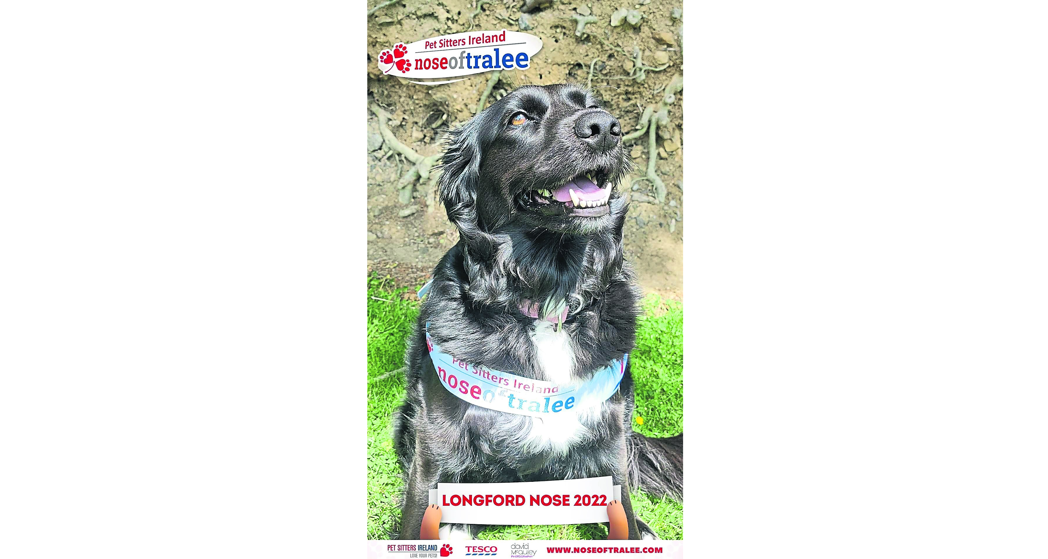 Longford dog owners hoping to secure ‘Nose of Tralee’ title