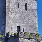 The historic Clonony Castle near Shannon Bridge in Offaly is on the market for an undisclosed sum
