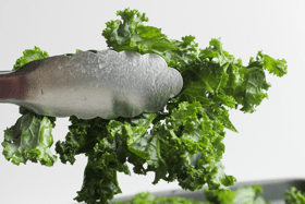 Kale contains four times the vitamin C content and twice the selenium content of spinach                                                                                                               
