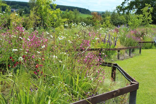 From mining 'wasteland to paradise' new Laois garden opening to public