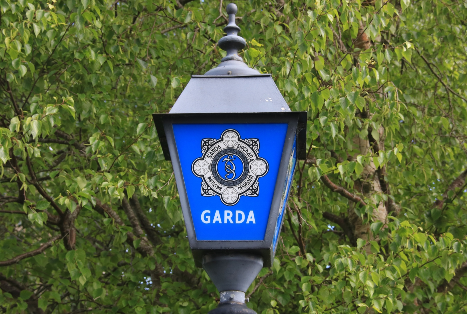 Limerick slash hook attack was over a jar of change