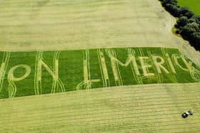 A cut above: Patrickswell dairy farmer Paul Reidy got creative when he cut silage on the eve of the All-Ireland final. Friend, Cillian Cliffe captured it perfectly with his drone