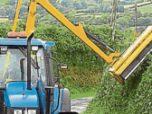 Minimal grass cutting allowed along hedge rows until September