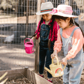 Growing your own: Little gardeners are more likely to try fruit and veg that they had a hand in growing