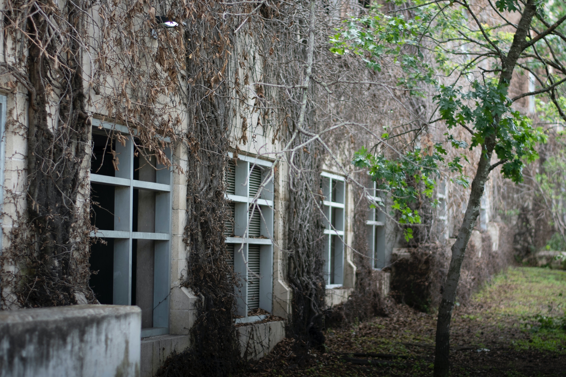 New €50m fund to refurbish vacant properties and increase home ...