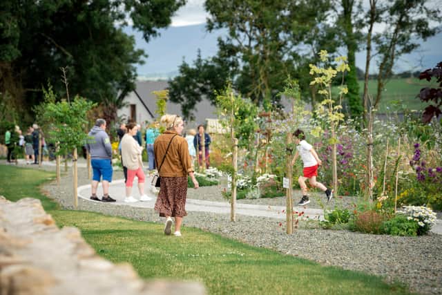 Kilteely Tidy Towns have enhanced the final project with the addition of curved wooden seating, the inclusion of a large insect hotel, new entrance gates and additional planting.