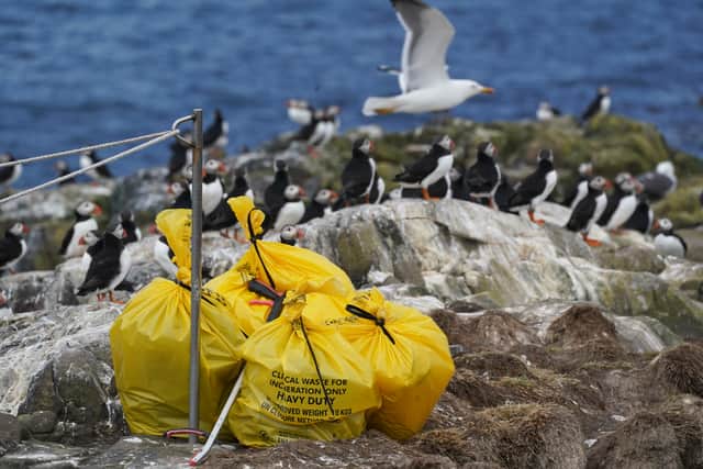 Rangers working for the trust have been removing their carcasses to prevent further contamination.
