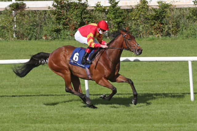 Bolger, who is one short of Dermot Weld’s tally of wins in the race, said: “I’m very happy with Boundless Ocean since the Irish Derby. He has shown a liking for the course and distance and the conditions and has been very consistent. I expect a good performance.”