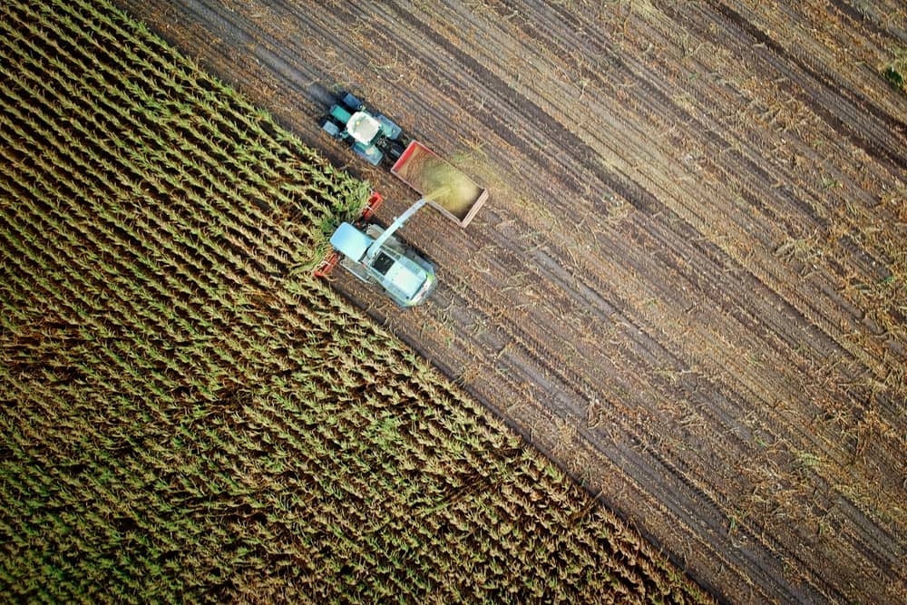 Basic Payment Scheme Refund of more than €20m announced for over 100,000 farmers across Ireland