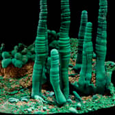 Scientists have detailed the origins and diversity of every known mineral on Earth.