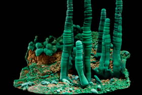 Scientists have detailed the origins and diversity of every known mineral on Earth.