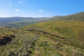High in the Sperrin Mountains on Saturday week last. A plan to create a mammoth gold mine in the area has been met with huge objection.