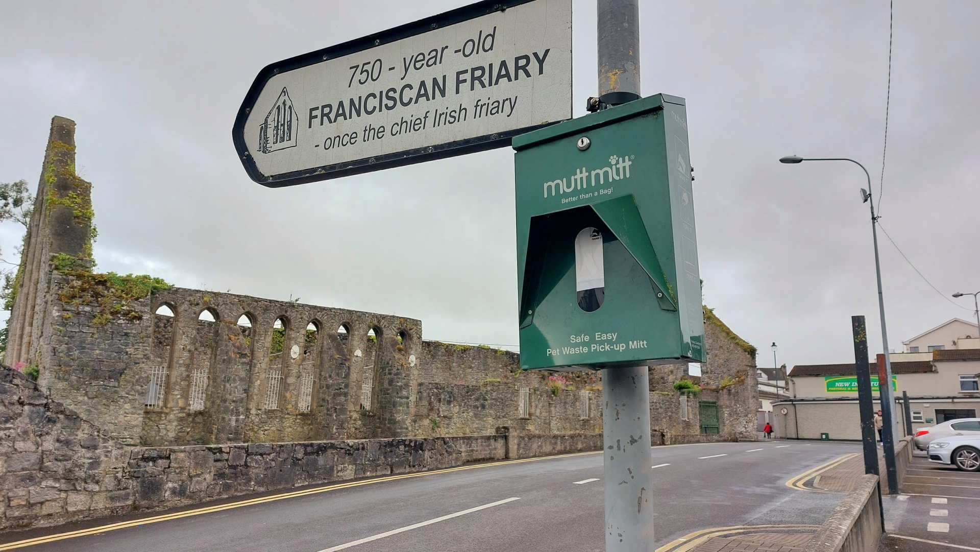 There have been no dog fouling fines issued in Tipperary in the last ...