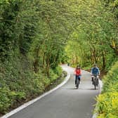 Rachael Conway and Padraig Fogarty at Tullig Wood on the Limerick Greenway, which opened to the public earlier this month | PICTURE: Sean Curtin