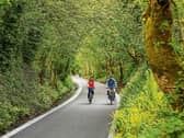 Rachael Conway and Padraig Fogarty at Tullig Wood on the Limerick Greenway, which opened to the public earlier this month | PICTURE: Sean Curtin