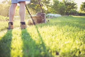 As a general rule, grass clippings of an inch or less in length can be left on your lawn where they will filter down to the soil surface and decompose quickly Picture: Pixabay