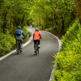 Limerick Greenway is marked for further investment after hitting the 500,000 visitor mark
