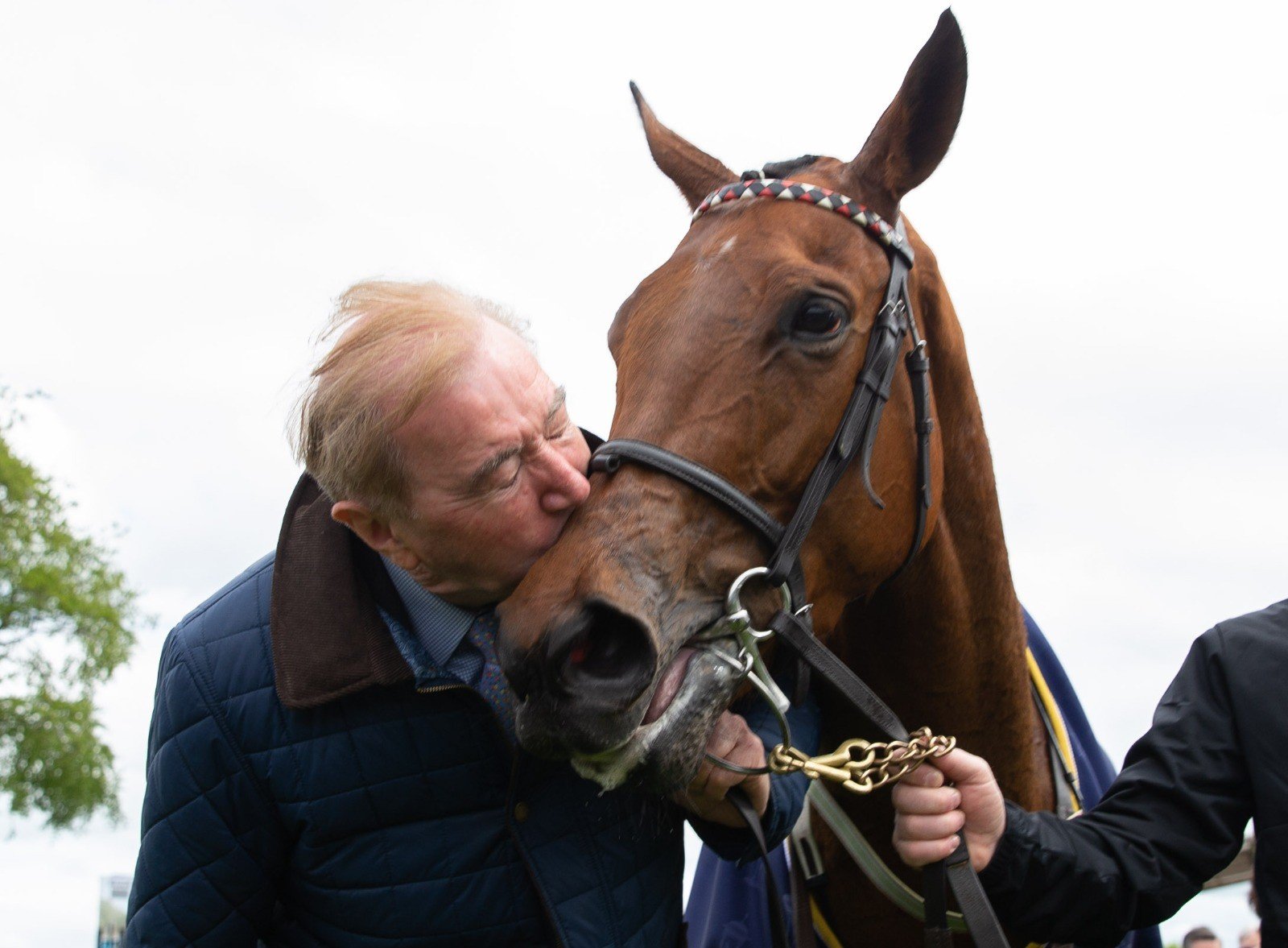 Ukrainian community hosted at Kildare's Curragh Racecourse for Guineas ...