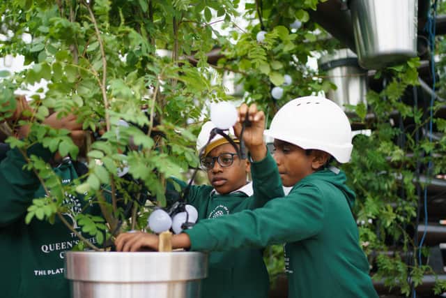“I am delighted in the way that everyone has come together across our nation to ‘Plant a tree for the Jubilee’.”
