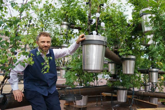 He added: “We need re-reminding how much trees humanise the world around us and they can’t be taken for granted.
